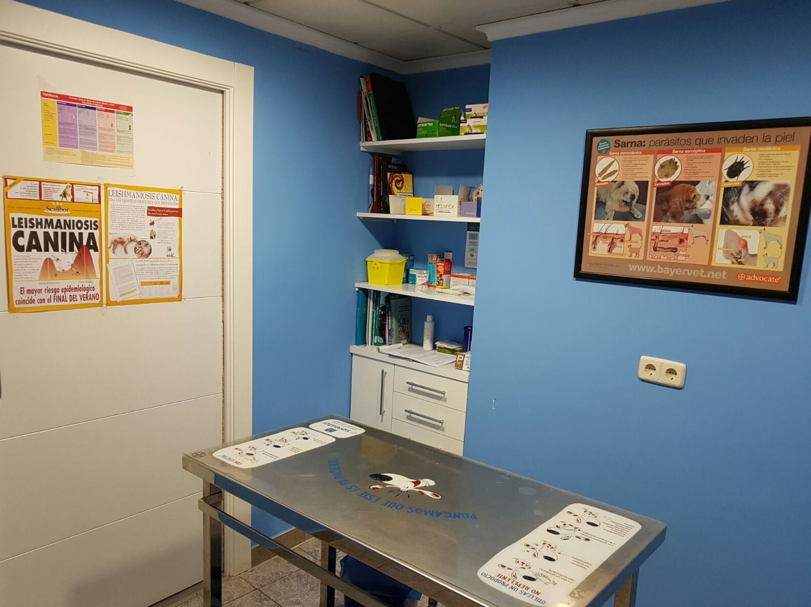 clinica-veterinaria-pilar-1