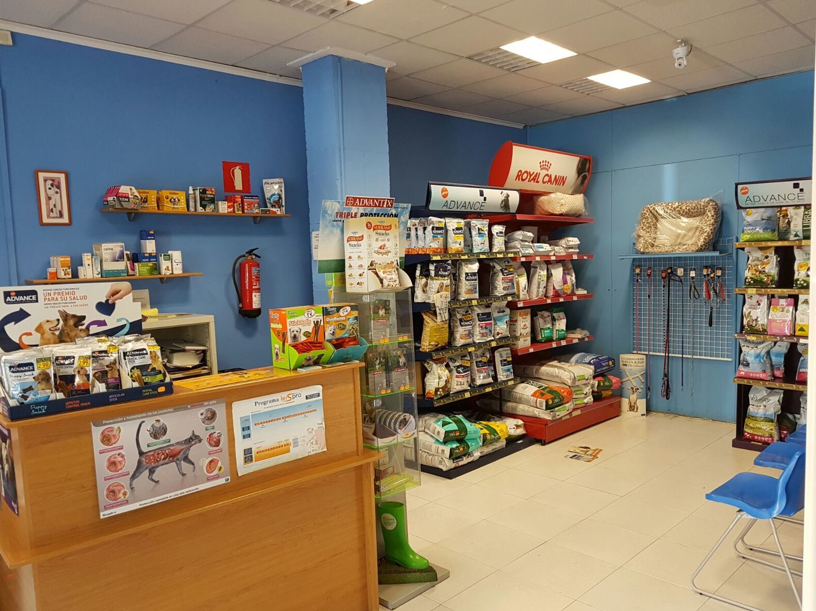 clinica-veterinaria-pilar-3