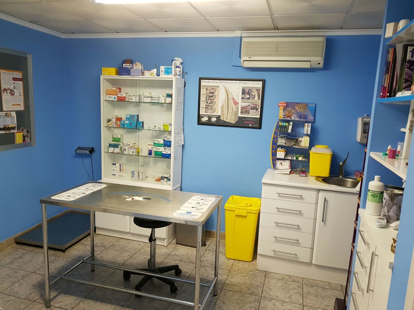 clinica-veterinaria-pilar-4