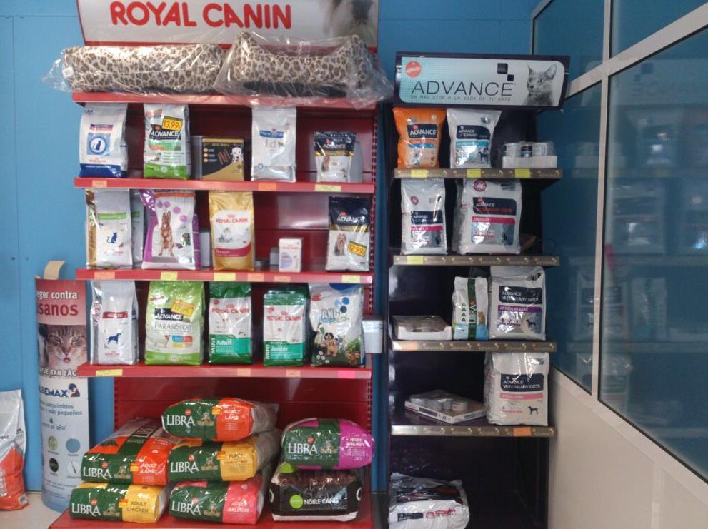 clinica-veterinaria-pilar-6