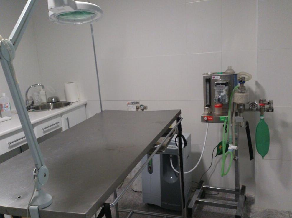 clinica-veterinaria-pilar-7