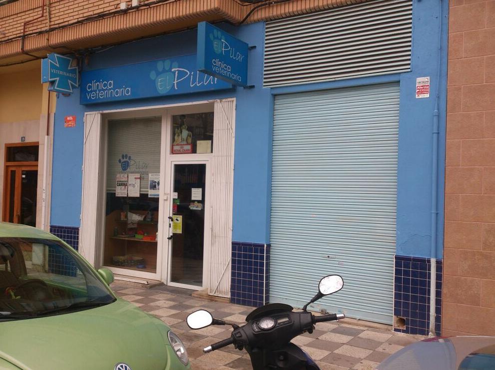 clinica-veterinaria-pilar